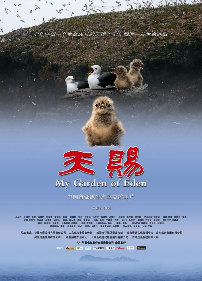 天賜(2011年孫憲執導中國紀錄片)