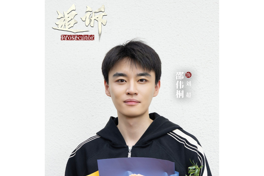劉超(電視劇《追訴》中的角色)