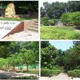 龍崗八仙嶺公園 龍崗八仙嶺公園