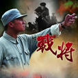 戰將(2014年30集電視劇) 戰將(2014年30集電視劇)