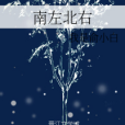 南左北右 南左北右