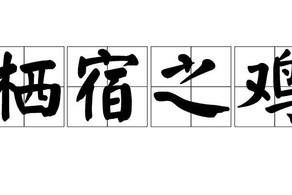 棲宿之雞 棲宿之雞