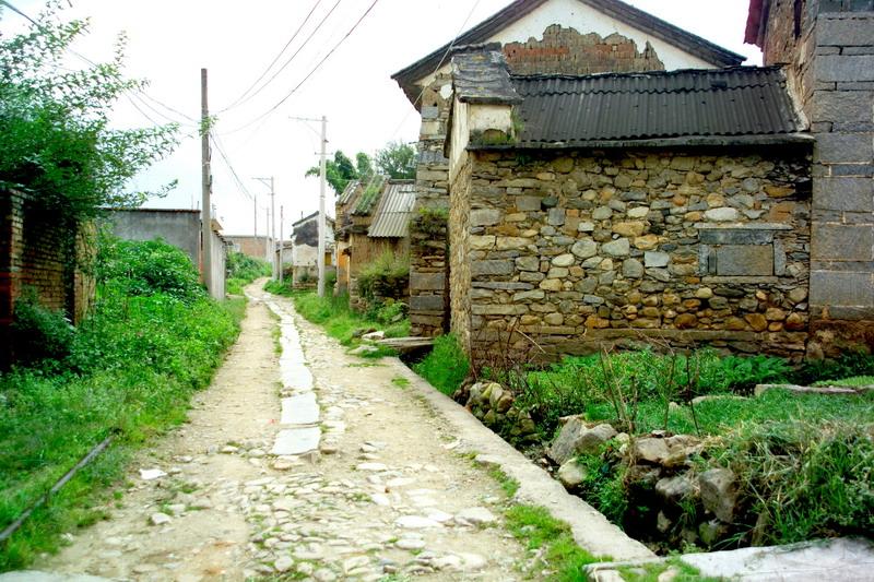 鳳陽邑村的道路