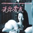 說你愛我(韓國2004年金圭芫執導電視劇) 說你愛我(韓國2004年金圭芫執導電視劇)
