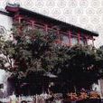 長春堂藥店 長春堂藥店