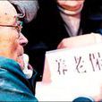 中國老齡社會與養老保障發展報告