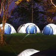 cAMP(英文單詞) cAMP(英文單詞)