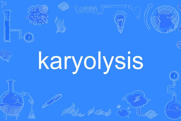 karyolysis karyolysis