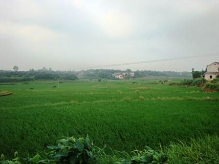 賦江村 賦江村