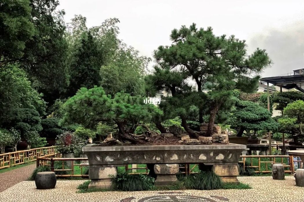 中華盆景園(四川成都盆景園) 中華盆景園(四川成都盆景園)