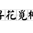 尋花覓柳 尋花覓柳
