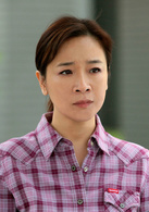 復婚(2010年陳小藝、許亞軍主演電視劇)