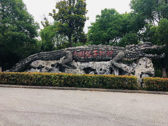 中國揚子鱷村