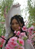 大明嬪妃