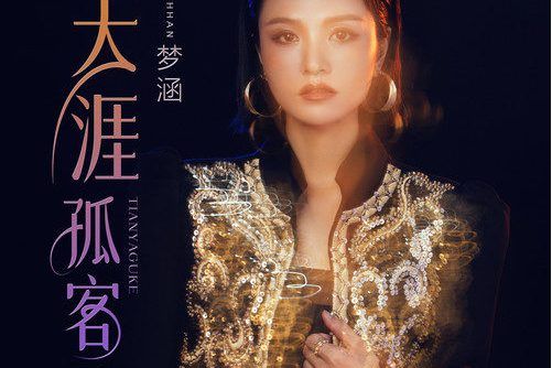 天涯孤客(夢涵演唱的歌曲) 天涯孤客(夢涵演唱的歌曲)