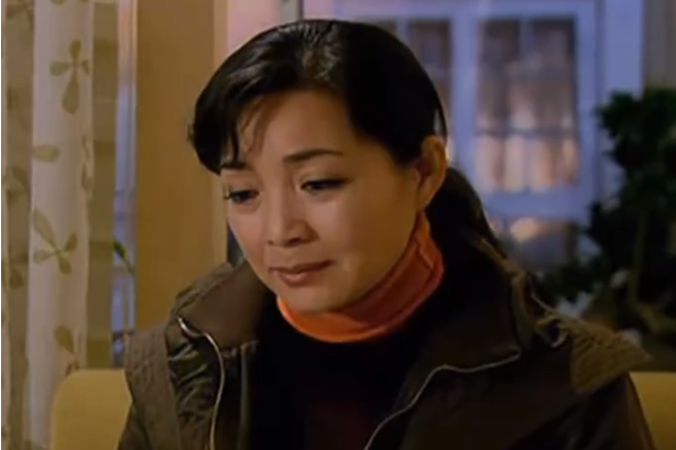 沈美仙(家庭倫理劇《賢妻良母》中的角色) 沈美仙(家庭倫理劇《賢妻良母》中的角色)