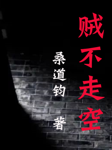 賊不走空(桑道鈞所著都市職場小說) 賊不走空(桑道鈞所著都市職場小說)