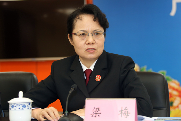 梁梅(廣西壯族自治區高級人民法院副院長) 梁梅(廣西壯族自治區高級人民法院副院長)