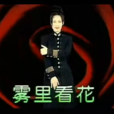 霧裡看花(那英演唱歌曲) 霧裡看花(那英演唱歌曲)