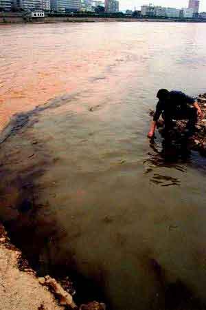黃河幹流石油污染嚴重