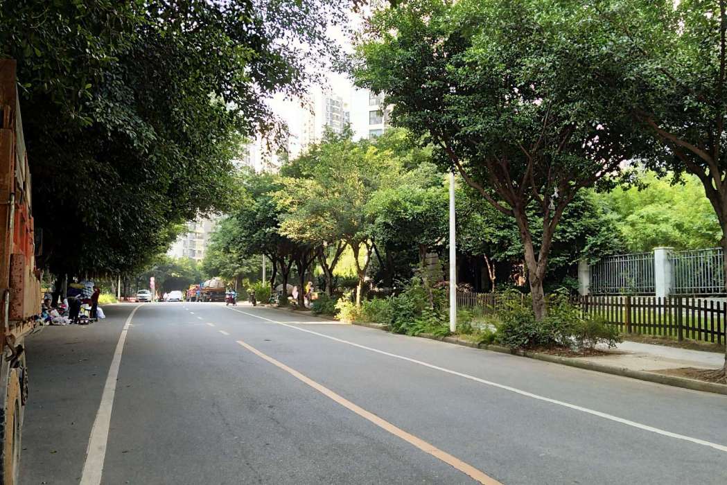 晨暉路(海鹽縣沈盪鎮境內道路)