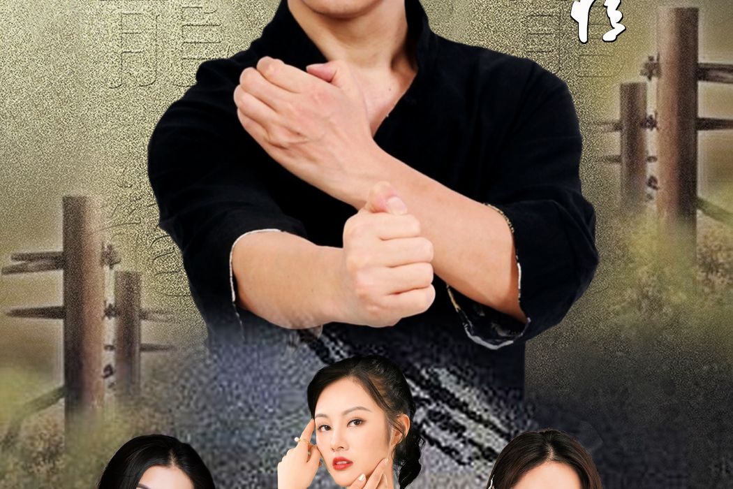 功夫傳情 功夫傳情