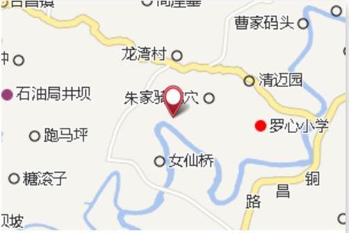 龍灣大隊 龍灣大隊