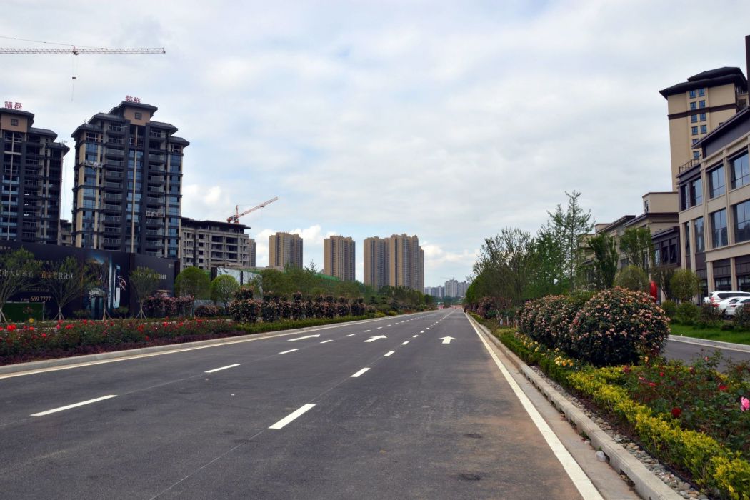 桑園路(上饒廣豐城市次幹路) 桑園路(上饒廣豐城市次幹路)