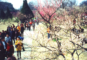 武漢植物園