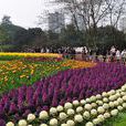 重慶花卉園