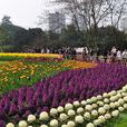重慶花卉園 重慶花卉園