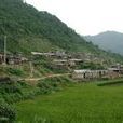 梅東村(福建省詔安縣梅洲鄉梅東村) 梅東村(福建省詔安縣梅洲鄉梅東村)
