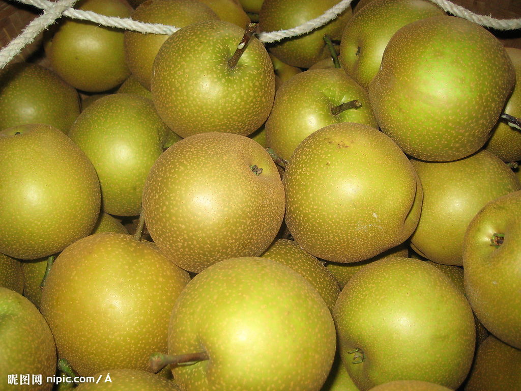 黃花梨(“黃蜜”與“三花”雜交而成的梨子果實)