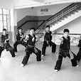 八仙拳 八仙拳