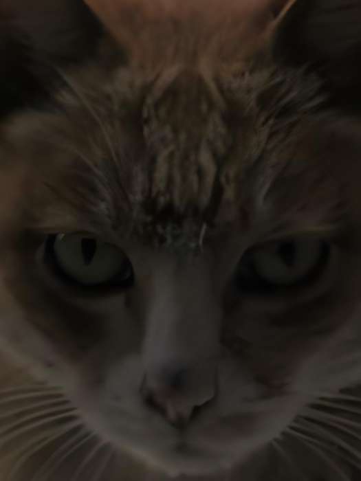 七界邪靈 七界邪靈