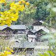 忠路土司