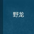 野龍 野龍