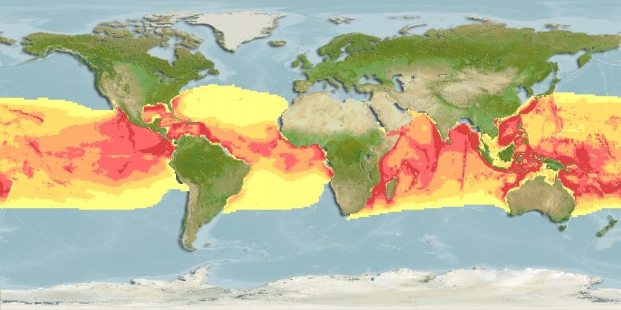 瓜頭鯨分布區域圖