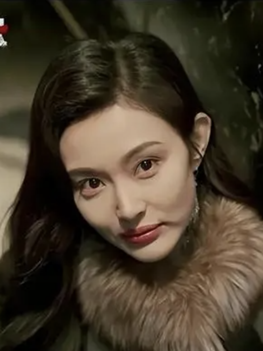 楊文麗(電視劇《黑白訣》中韓證飛的未婚妻)