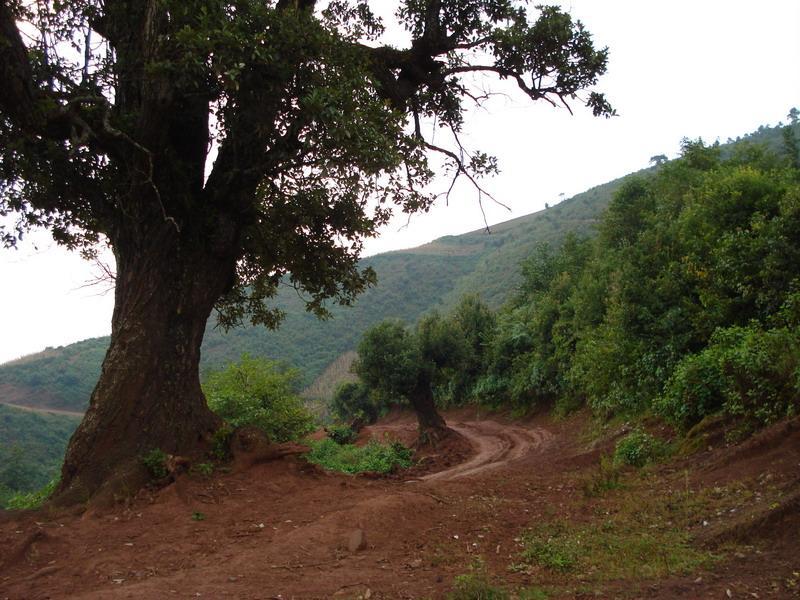 媽達村 媽達村