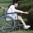 權菊仙 權菊仙