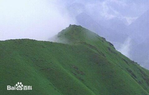 中國最美高山草甸兔耳嶺