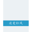 追愛狂風 追愛狂風