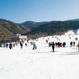 神農滑雪場 神農滑雪場