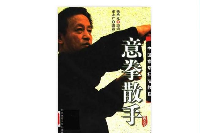 意拳散手 意拳散手