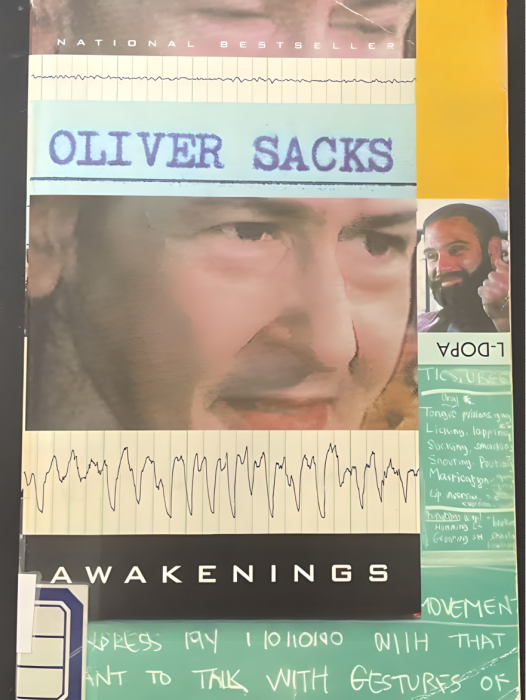 Awakenings(2008年Vintage Canada出版的圖書) Awakenings(2008年Vintage Canada出版的圖書)