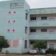龍安中心國小(龍安國小)