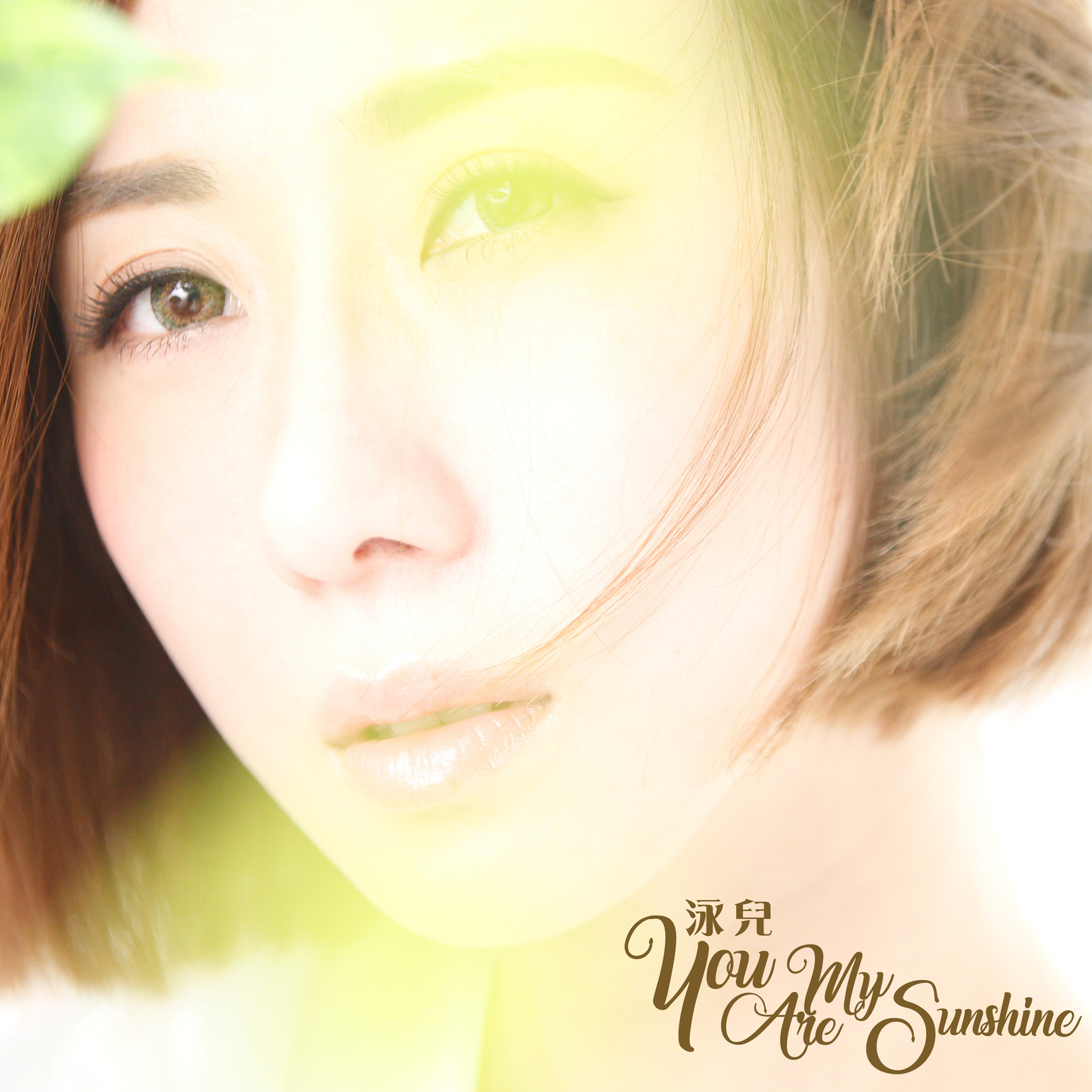 you are my sunshine(泳兒演唱歌曲)