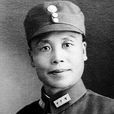 新桂系 新桂系