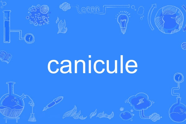 canicule canicule
